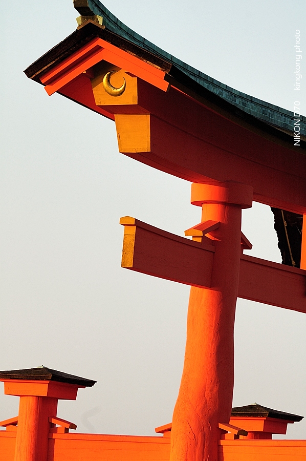 AICHI_EXPO_053.jpg - 愛知-愛地球博