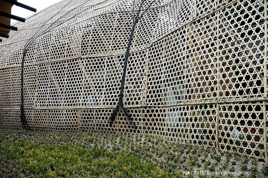 AICHI_EXPO_213.jpg - 愛知-愛地球博