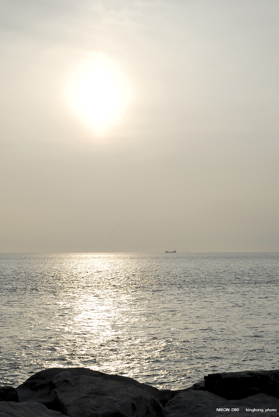 _DSC1109.jpg - AIRPORT SOUTH RUNWAY
