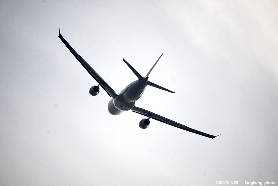 _DSC1167.jpg - AIRPORT SOUTH RUNWAY