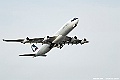 _DSC0978