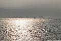 _DSC0993