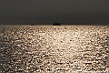 _DSC1004