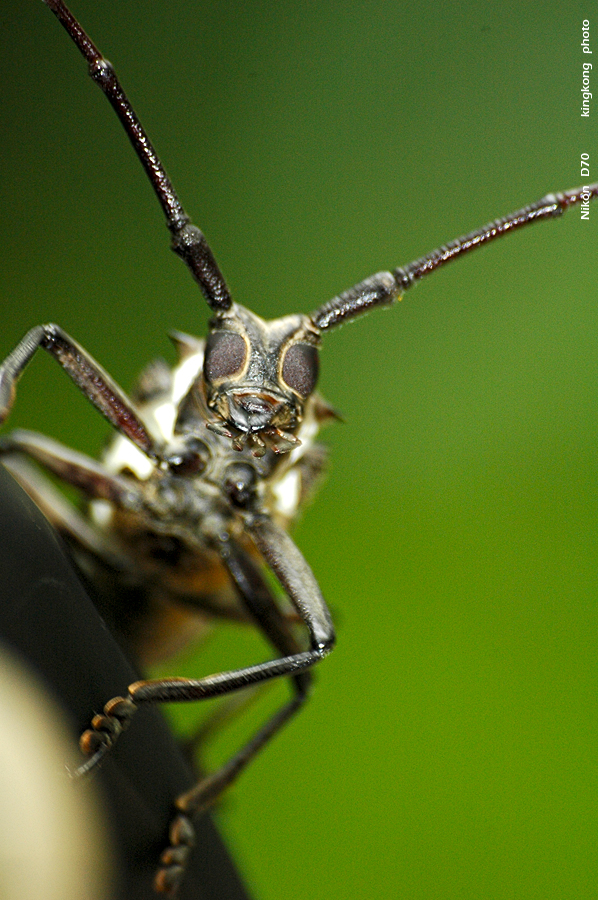 DSC_2832.JPG