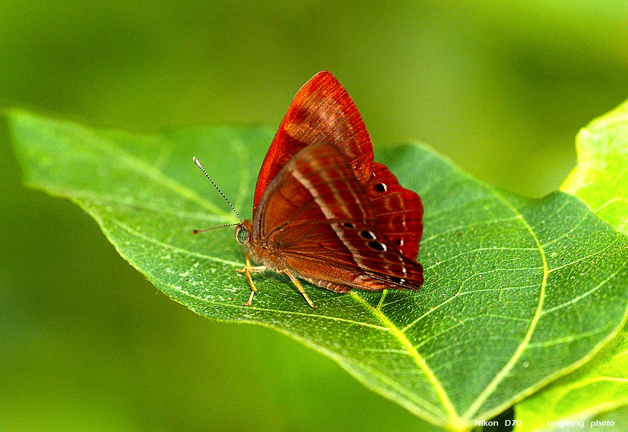 DSC_3845.jpg
