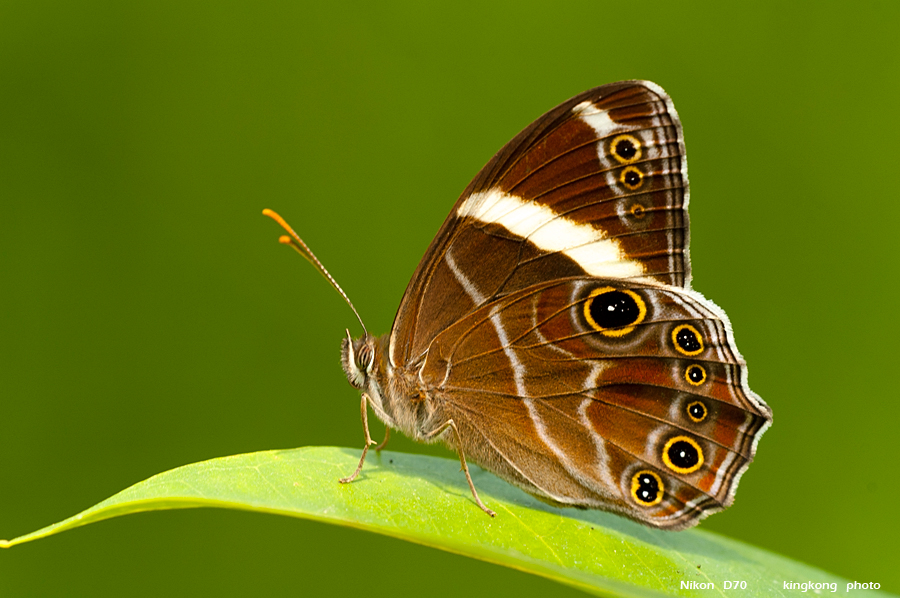 DSC_4833.jpg