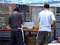 DSCF4809