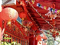 DSCF4851