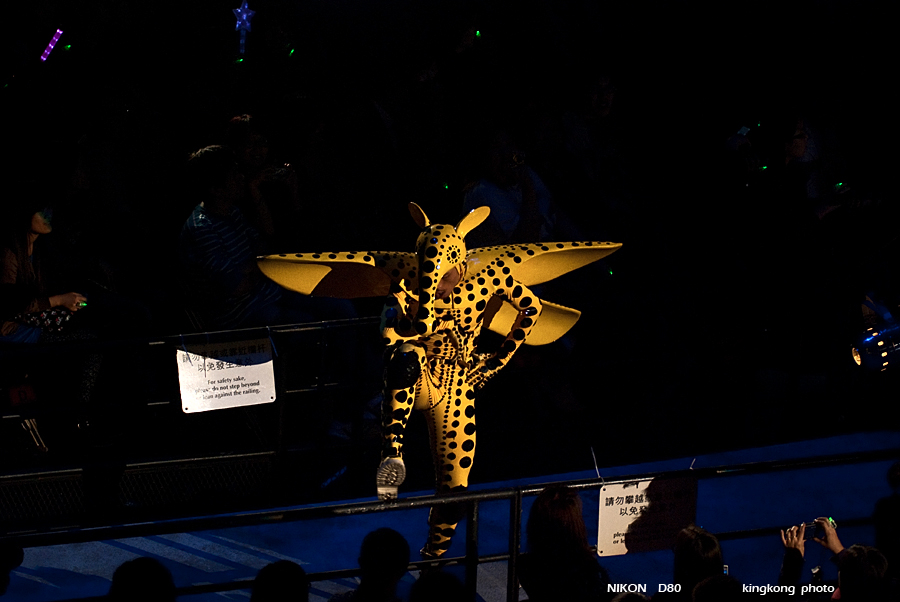 DSC_8092.JPG