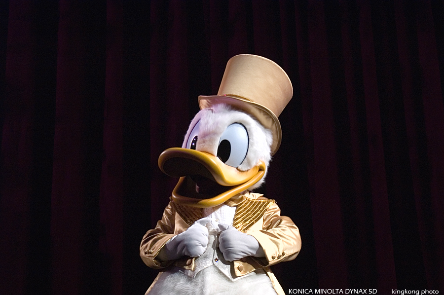 DISNEYLAND12.jpg - DISNEYLAND HONGKONG