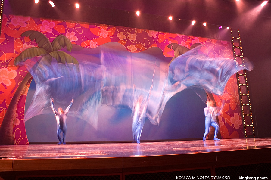 DISNEYLAND15.jpg - DISNEYLAND HONGKONG