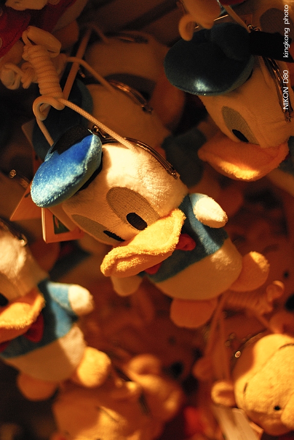 DISNEYLAND74.jpg - DISNEYLAND HONGKONG