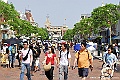 DISNEYLAND72
