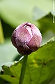 _DSC4931