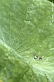 _DSC4935