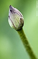 _DSC4951