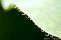 _DSC4966