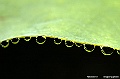 _DSC4976