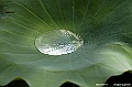 _DSC4997