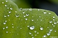 _DSC5004