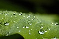 _DSC5008