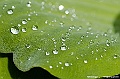 _DSC5011