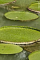 _DSC5018