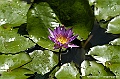 _DSC5042
