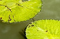 _DSC5044