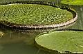 _DSC5046