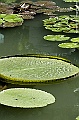_DSC5051