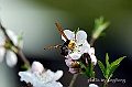 _DSC9358