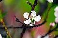_DSC9370