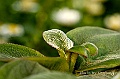 _DSC9418