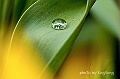 _DSC9443