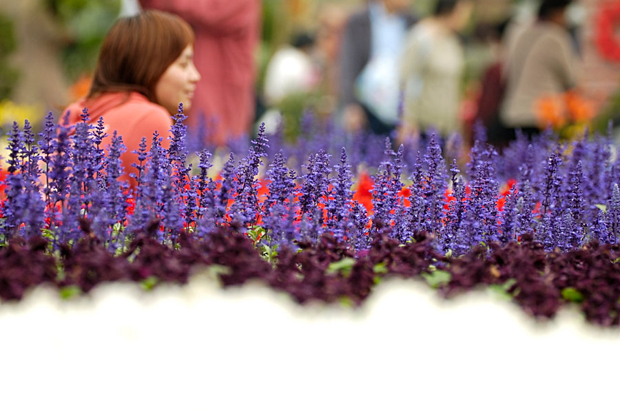 _DSC4624.jpg - HONGKONG FLOWER SHOW 2006