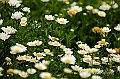 _DSC4505