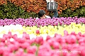 _DSC4646