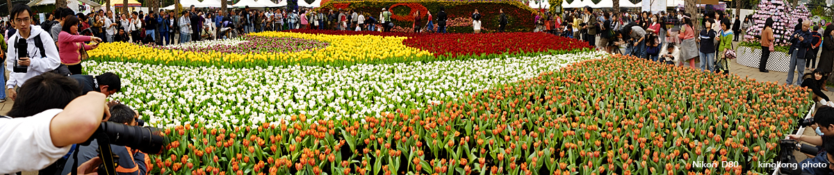 _DSC3351.jpg - Hongkong Flower Show 2007