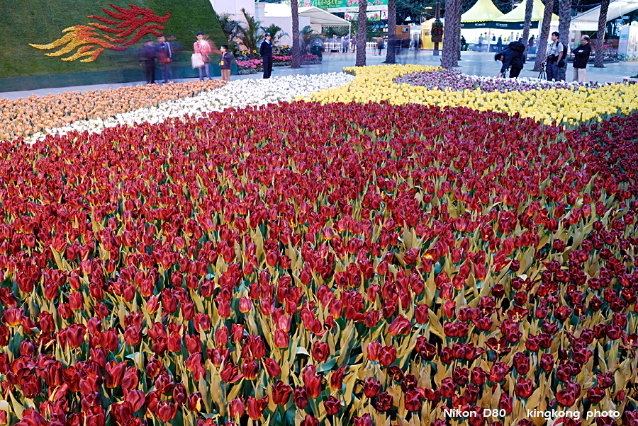 _DSC3538.jpg - Hongkong Flower Show 2007