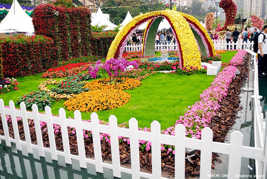 _DSC3562.jpg - Hongkong Flower Show 2007