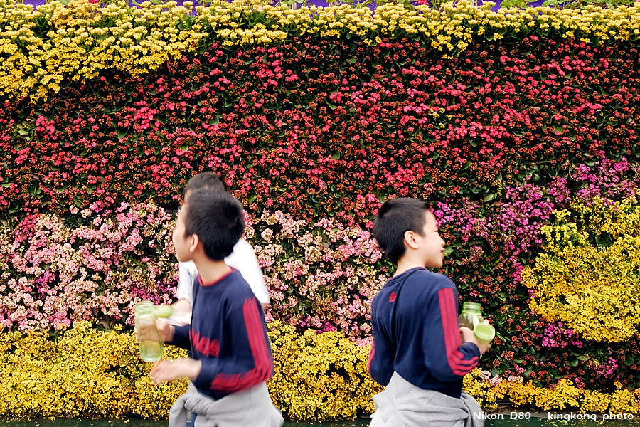 _DSC3651.jpg - Hongkong Flower Show 2007