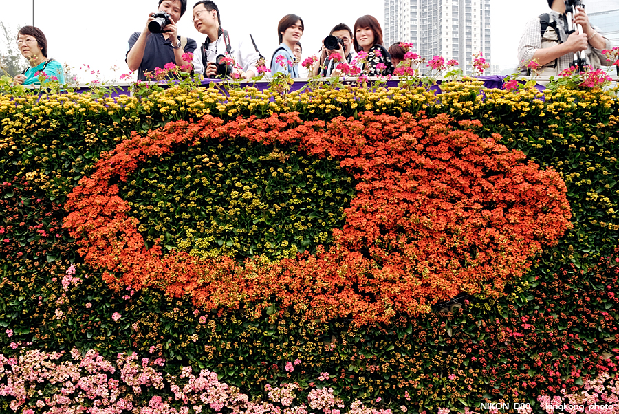 _DSC3653.jpg - Hongkong Flower Show 2007
