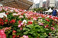 _DSC3330