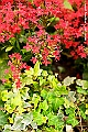 _DSC3379