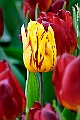 _DSC3457