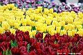 _DSC3458