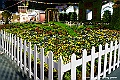 _DSC3544