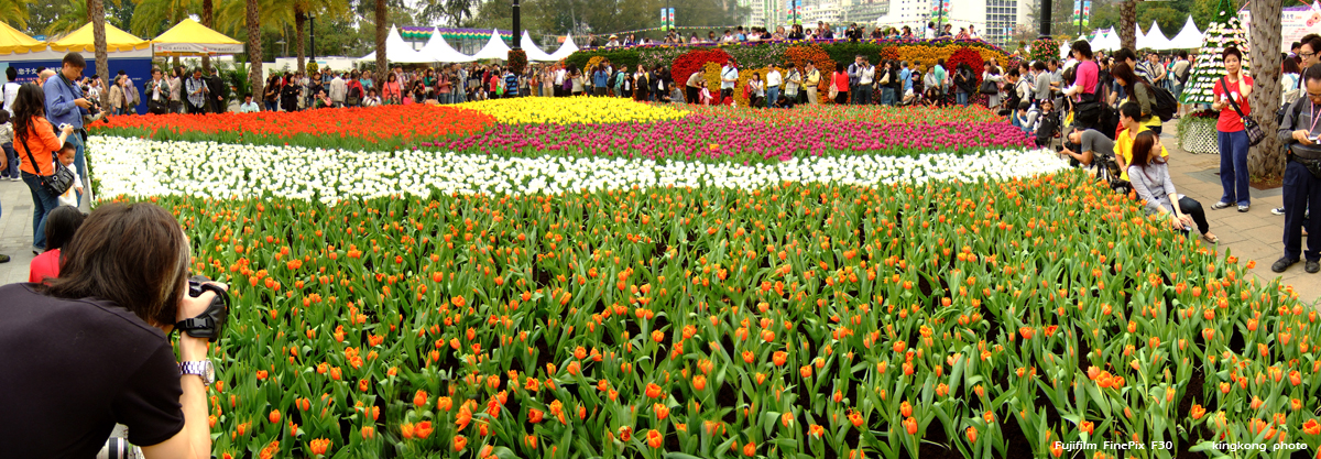 DSCF1543.JPG - Hong Kong Flower Show 2008