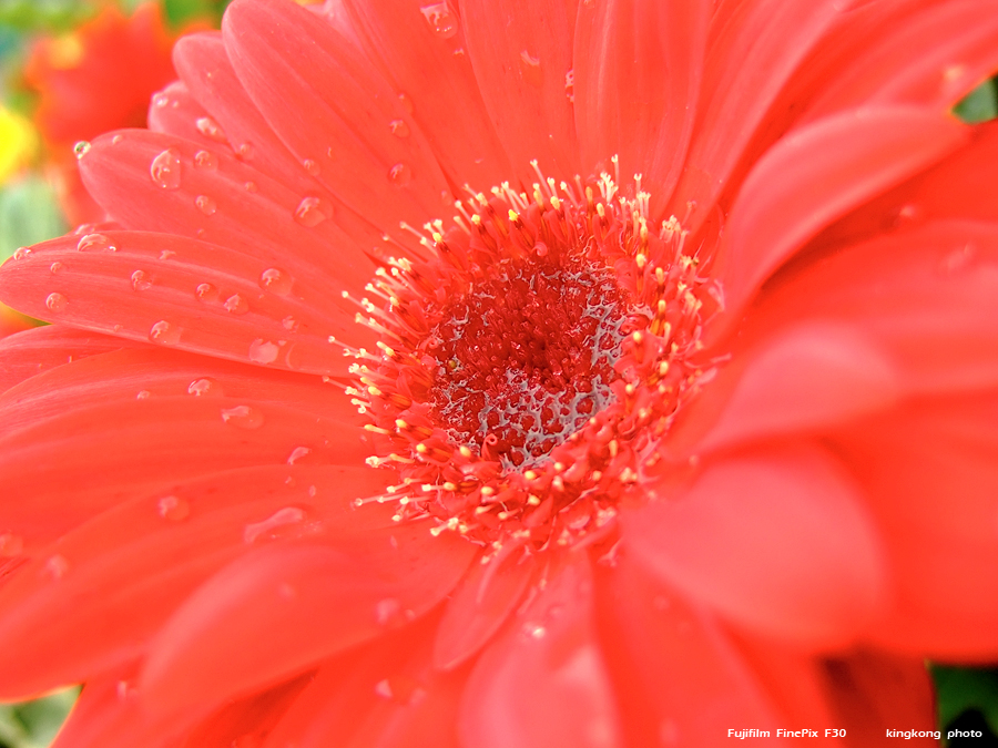 DSCF1567.JPG